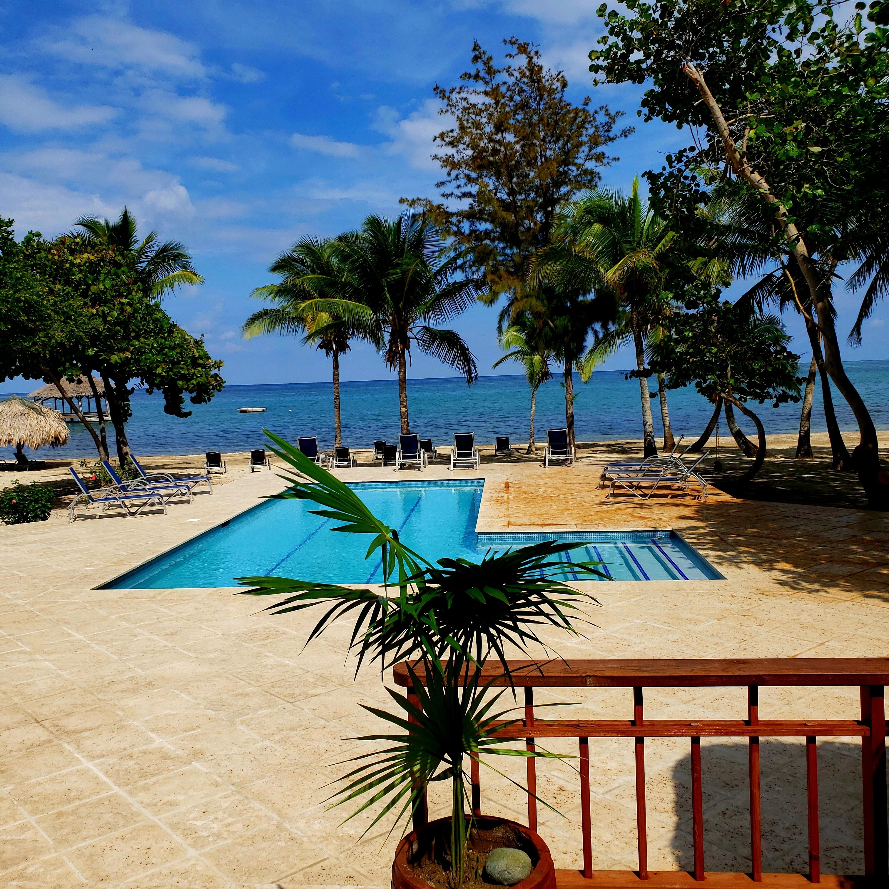 A pool area with lounge chairs, a thatched-roof structure, and palm trees.