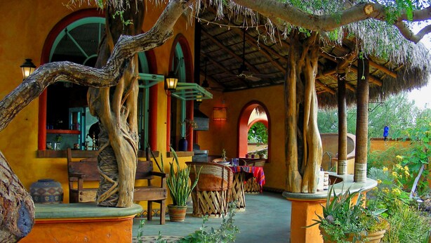Une terrasse extérieure avec des meubles en bois, des plantes en pot et une structure de toit en chaume.