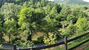 Vista de un río rodeado de abundante vegetación y una valla de madera.