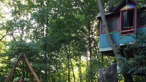 A hammock tied to a tree, a wooden swing set, and a birdhouse on a tree.