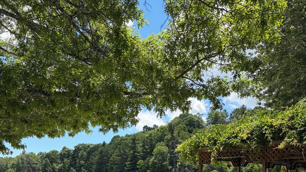 An outdoor patio with tables and chairs, a wooden pergola, and a view of a lake surrounded by trees. - Nanny’s River Cabin_Peaceful Blue Ridge Mountain Retreat in Linville Land Harbor (Newland)
