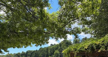 Nanny’s River Cabin_Peaceful Blue Ridge Mountain Retreat in Linville Land Harbor