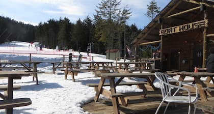 Asiakaspalvelu # 1-Village 1BR, kylä, täydellinen sijainti, useita asuntoja