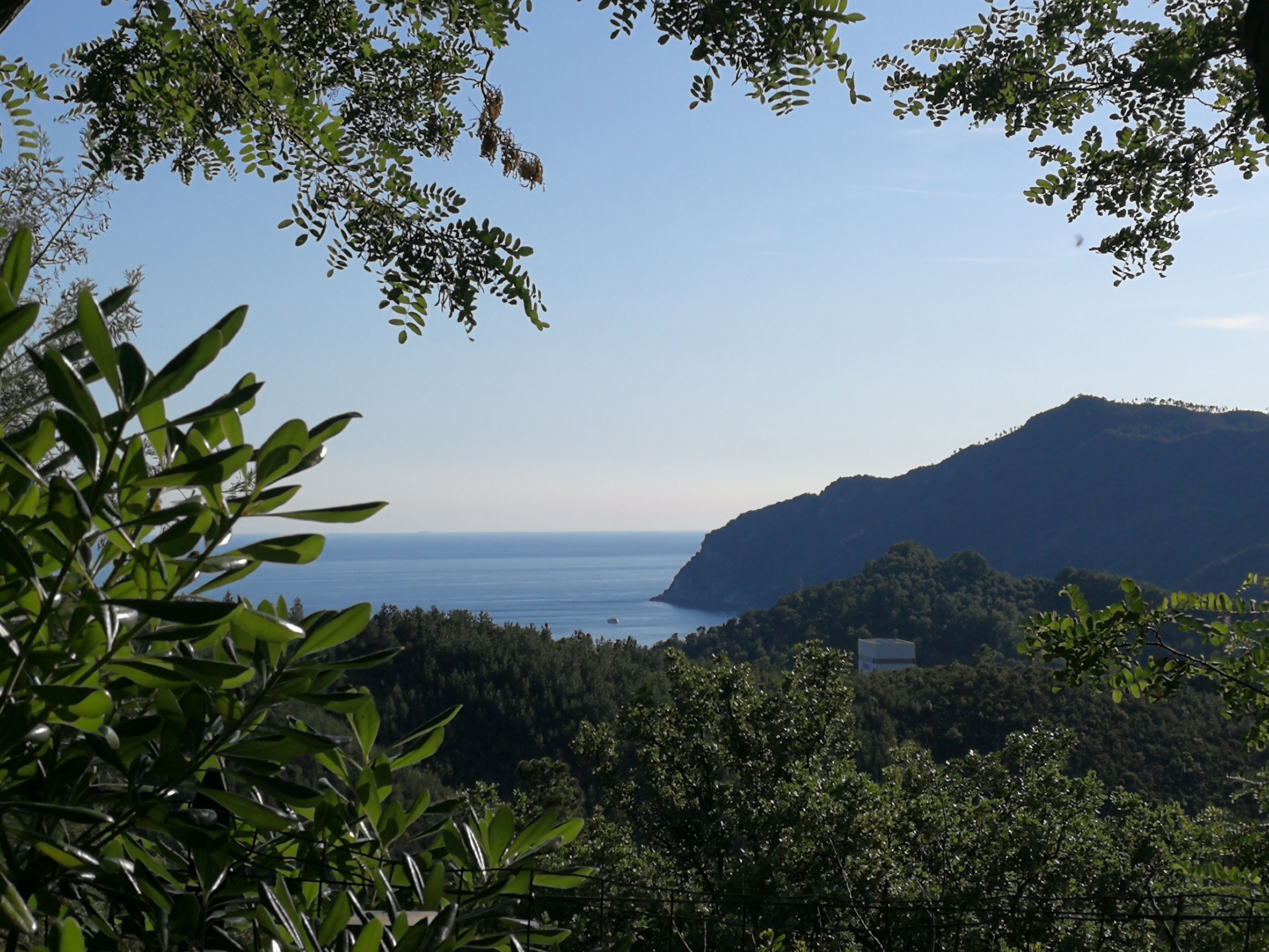 A coastal landscape with a view of the sea and a hill in the background.