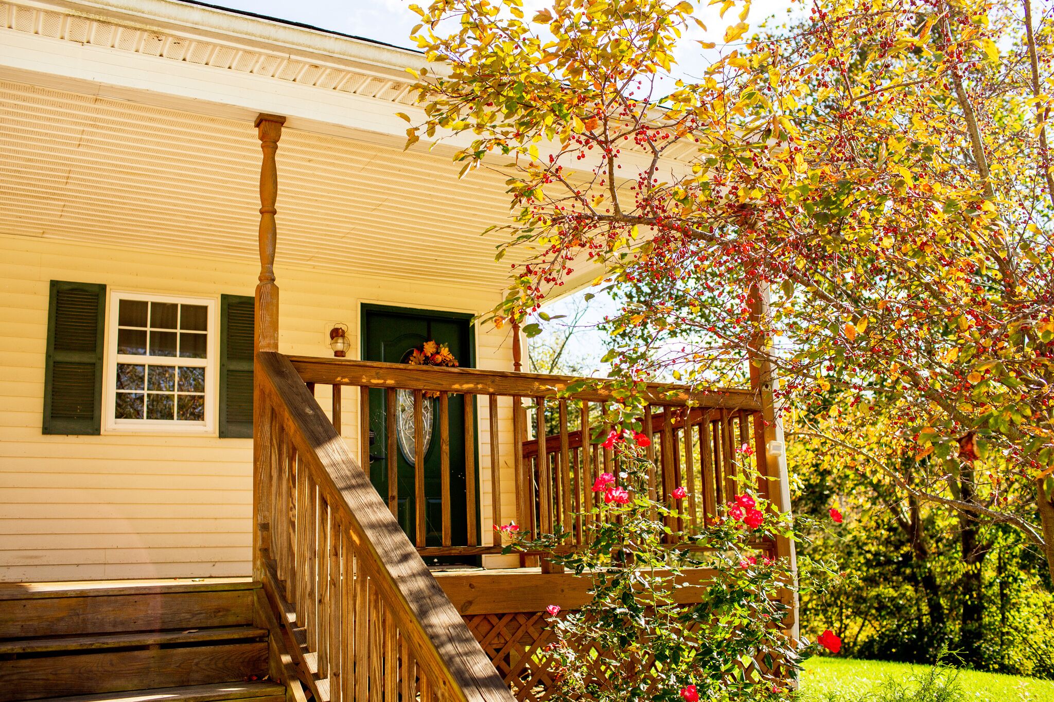 Holland House Ark Adventure