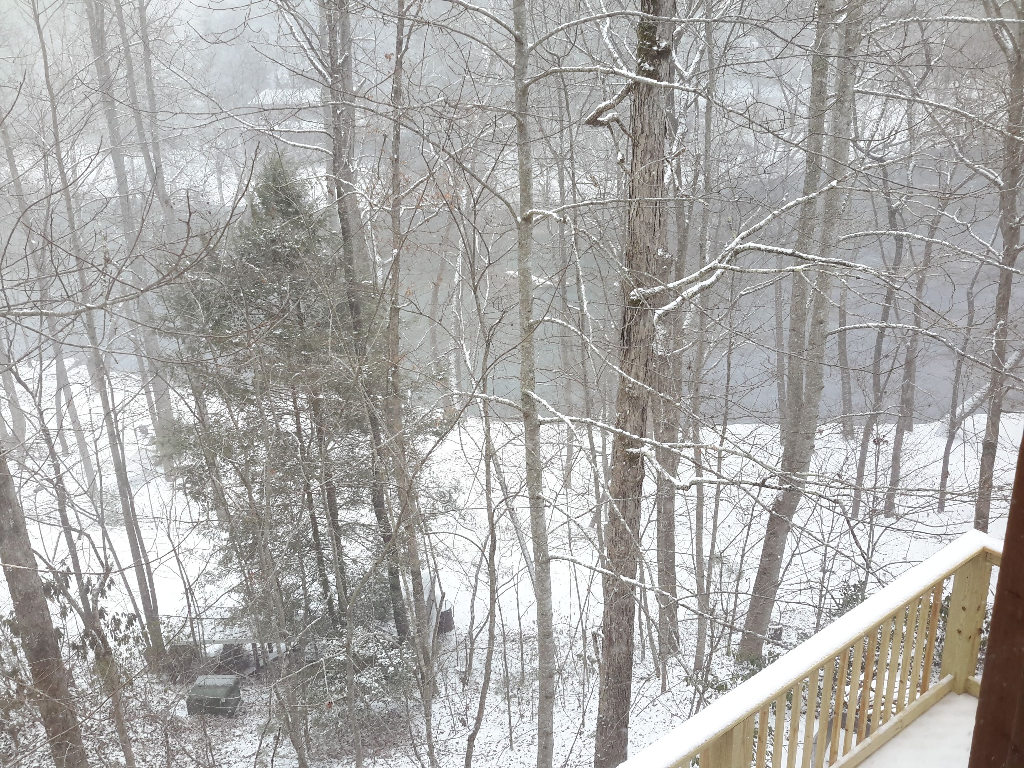 Relax and play on the Hiwassee!