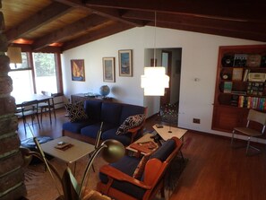 تلفزيون، مدفأة، كُتُب، مكتبة موسيقى