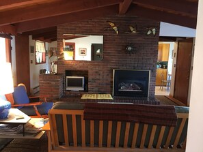 TV, fireplace, books, music library