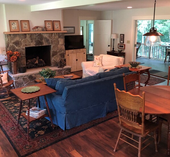 Smart TV, fireplace, DVD player, video library