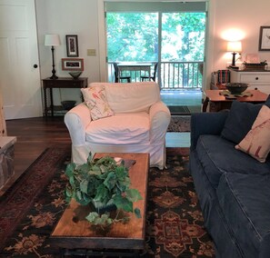 Smart TV, fireplace, DVD player, video library