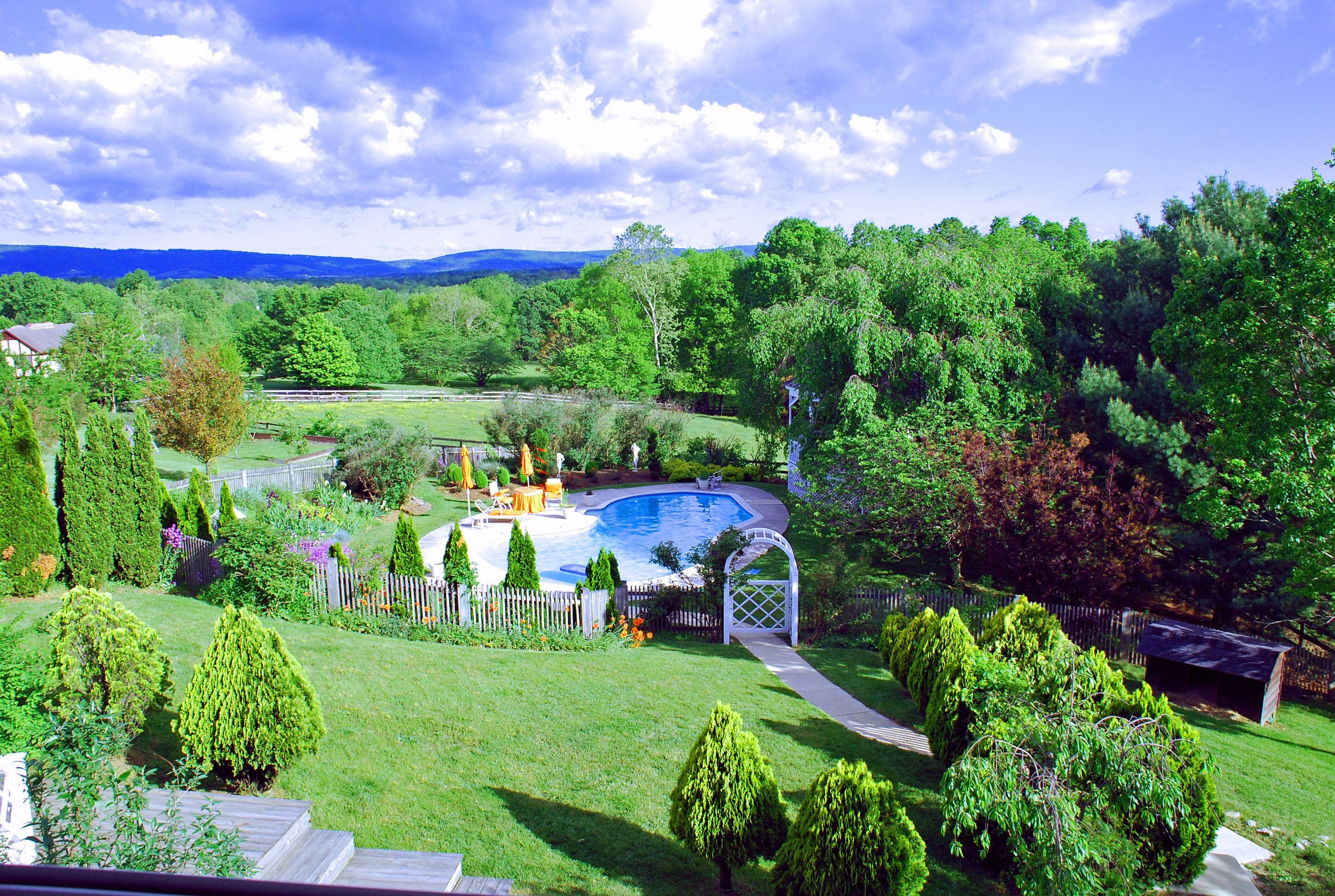 A backyard with a swimming pool, surrounded by lush greenery and a wooden fence.