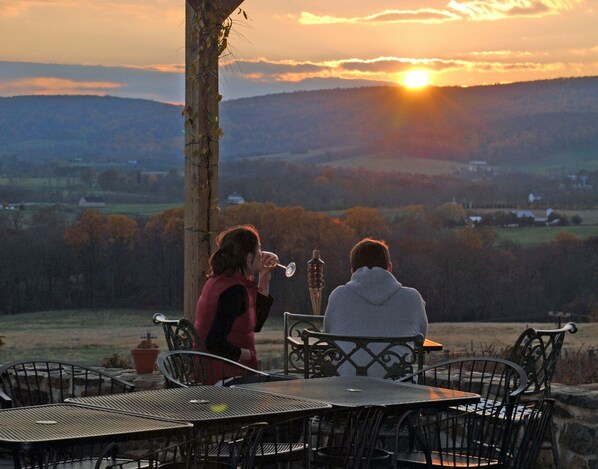 Outdoor dining - The Van Gogh Room in Villa (Purcellville)