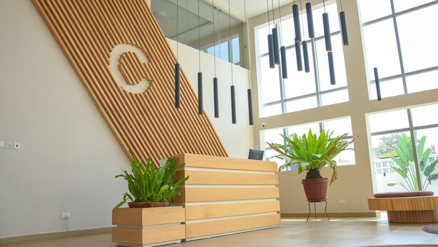 Una moderna recepción con un diseño de listones de madera, dos plantas en macetas y un portátil encima.
