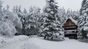 Een met sneeuw bedekte lodge met een houten gevel, omringd door dichte altijdgroene bomen.