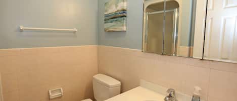 Hair dryer, soap, toilet paper