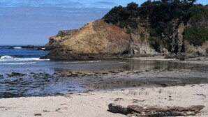 Une plage bordée d’une falaise rocheuse et dotée d’une végétation clairsemée.