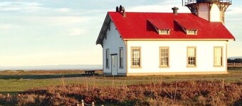 Kona Cabin in the Redwoods