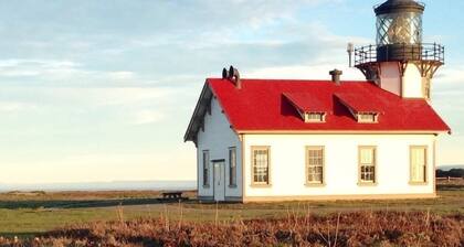 Kona Cabin in the Redwoods