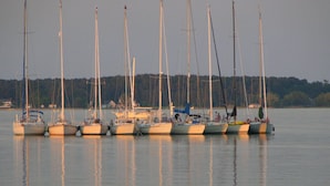 Plusieurs voiliers étaient amarrés dans une marina, où l’eau était calme et une forêt bordait la rive en arrière-plan.