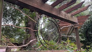A wooden pergola structure surrounded by dense foliage and trees.