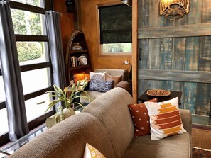 Smart TV, DVD player, books, video library