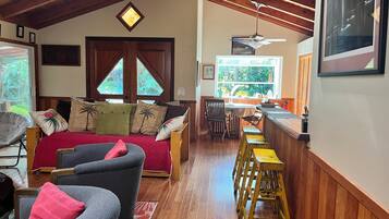 TV connectée, cheminée, lecteur de DVD, livres