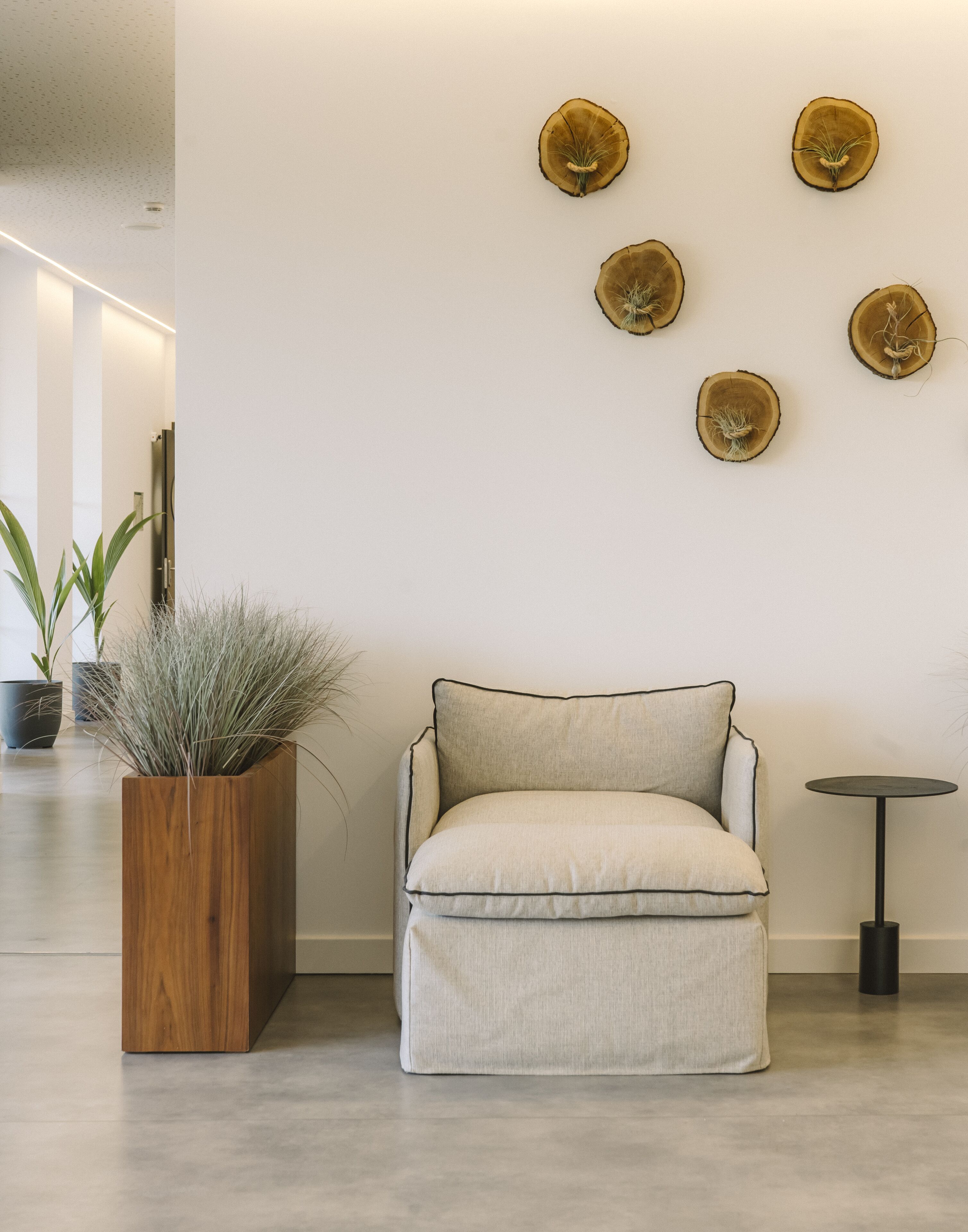 Un soggiorno moderno con un divano beige, un fioriera in legno con erba alta e un tavolino rotondo.