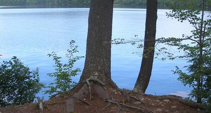 Spectacular Kezar-järven kiinteistö yläkerran itärannalla; valkoiset Mtn-auringonlaskut