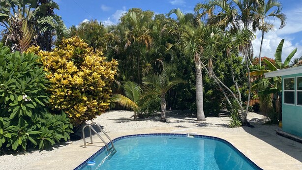 A swimming pool with a blue tiled edge, surrounded by tropical vegetation and a clear sky.