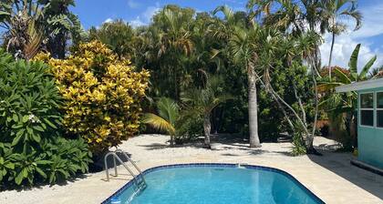 Das tropische Paradies des Surfers