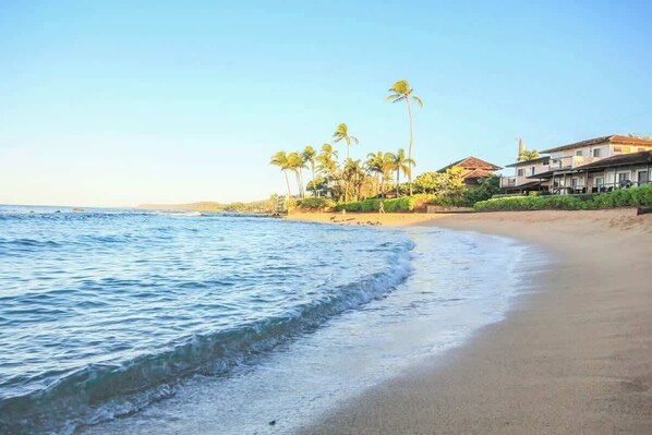 Playa en los alrededores 