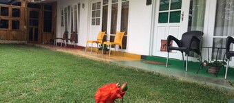 The Rivendell - Hostel