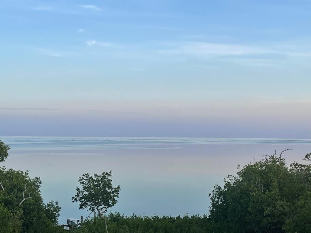 A tranquil coastal view with a clear horizon and dense greenery in the foreground.