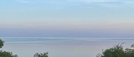 A tranquil coastal view with a clear horizon and dense greenery in the foreground.