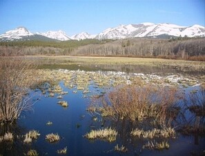 Billede uden beskrivelse, 5 af 6, knap