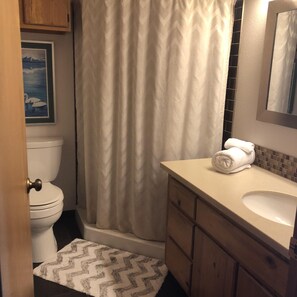 A bathroom with a shower curtain, a toilet, a sink, and a towel on the counter. - Vacation Home On The Secluded Shores Of Loon Lake (Soldotna)