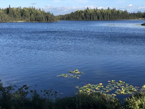A large body of water with lily pads and dense forest in the background. - Vacation Home On The Secluded Shores Of Loon Lake (Soldotna)