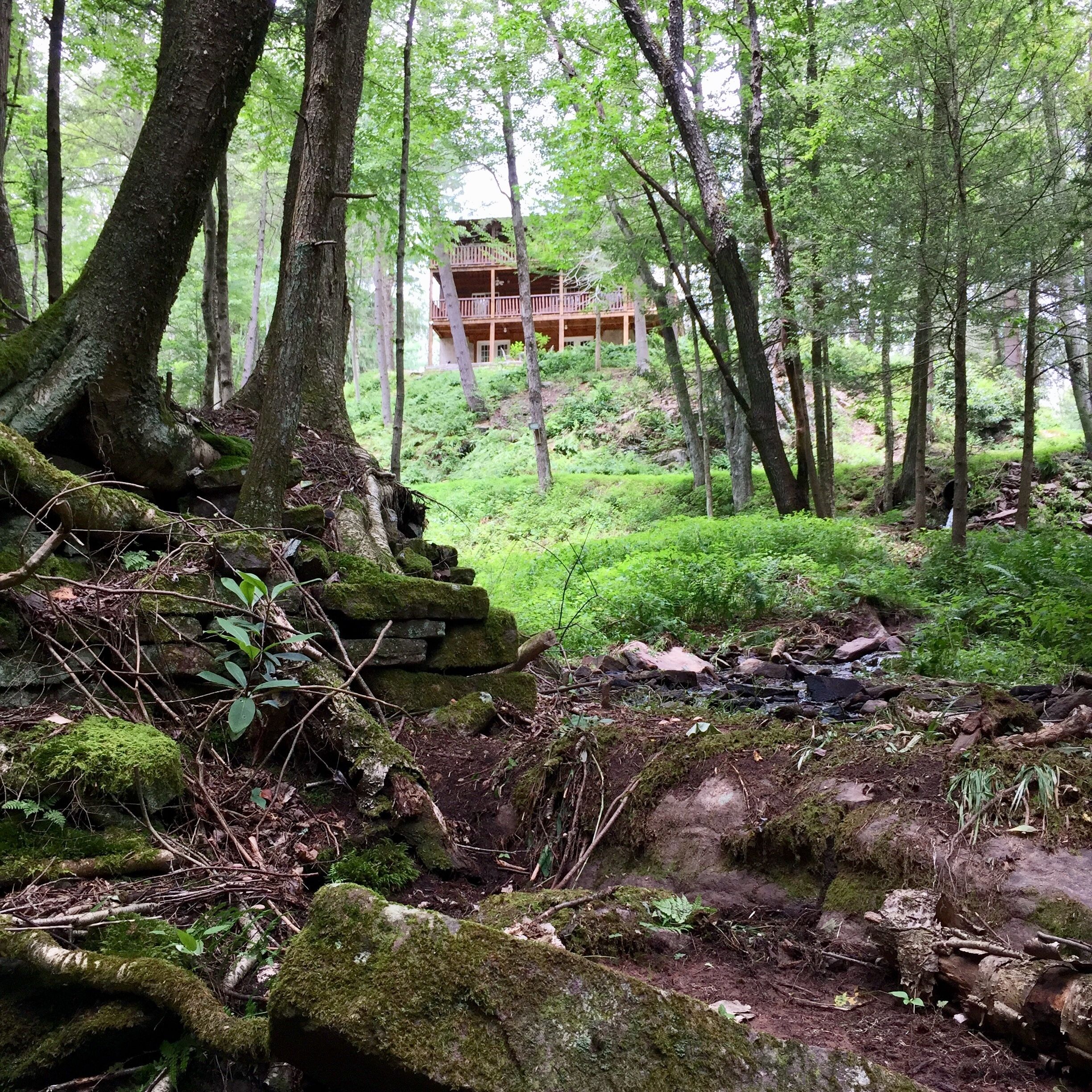 Jardines del alojamiento