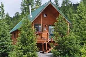 Eine Holzhütte mit grüner Dachdeckung, umgeben von dichtem Wald.