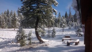 Un paisaje nevado con un banco y una estructura de madera, rodeado de árboles cubiertos de nieve.