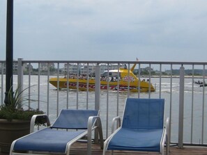 Property grounds - Assateague House Unit 110 (Ocean City)