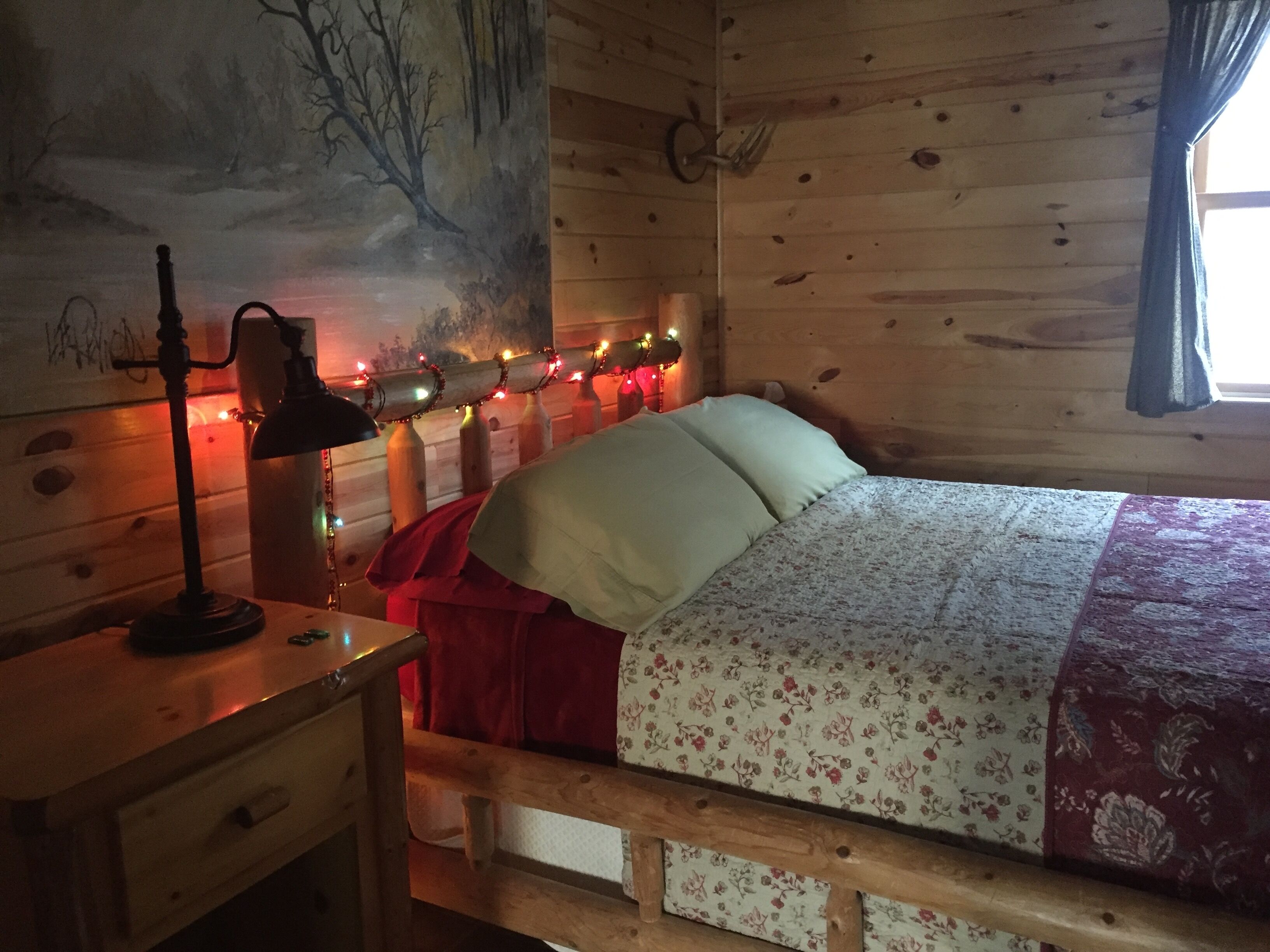 A Cozy Cabin in the Woods, Many Trails And A Little Lake