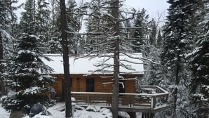 Una cabaña de madera rodeada de árboles cubiertos de nieve.