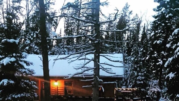 Una cabaña rodeada de árboles cubiertos de nieve.