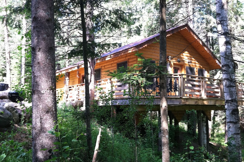 A Cozy Cabin in the Woods, Many Trails And A Little Lake