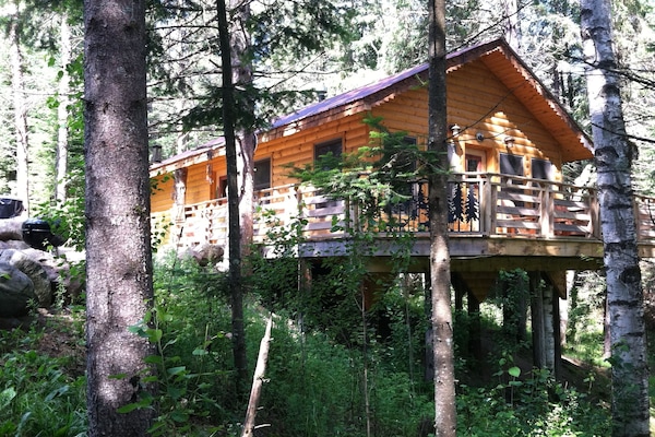 Cabin Eleanor in the pines.