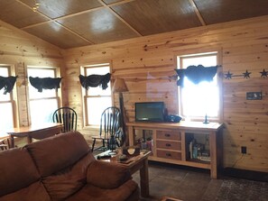 TV, fireplace, DVD player, books