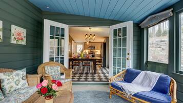 TV connectée, cheminée, lecteur de DVD, livres