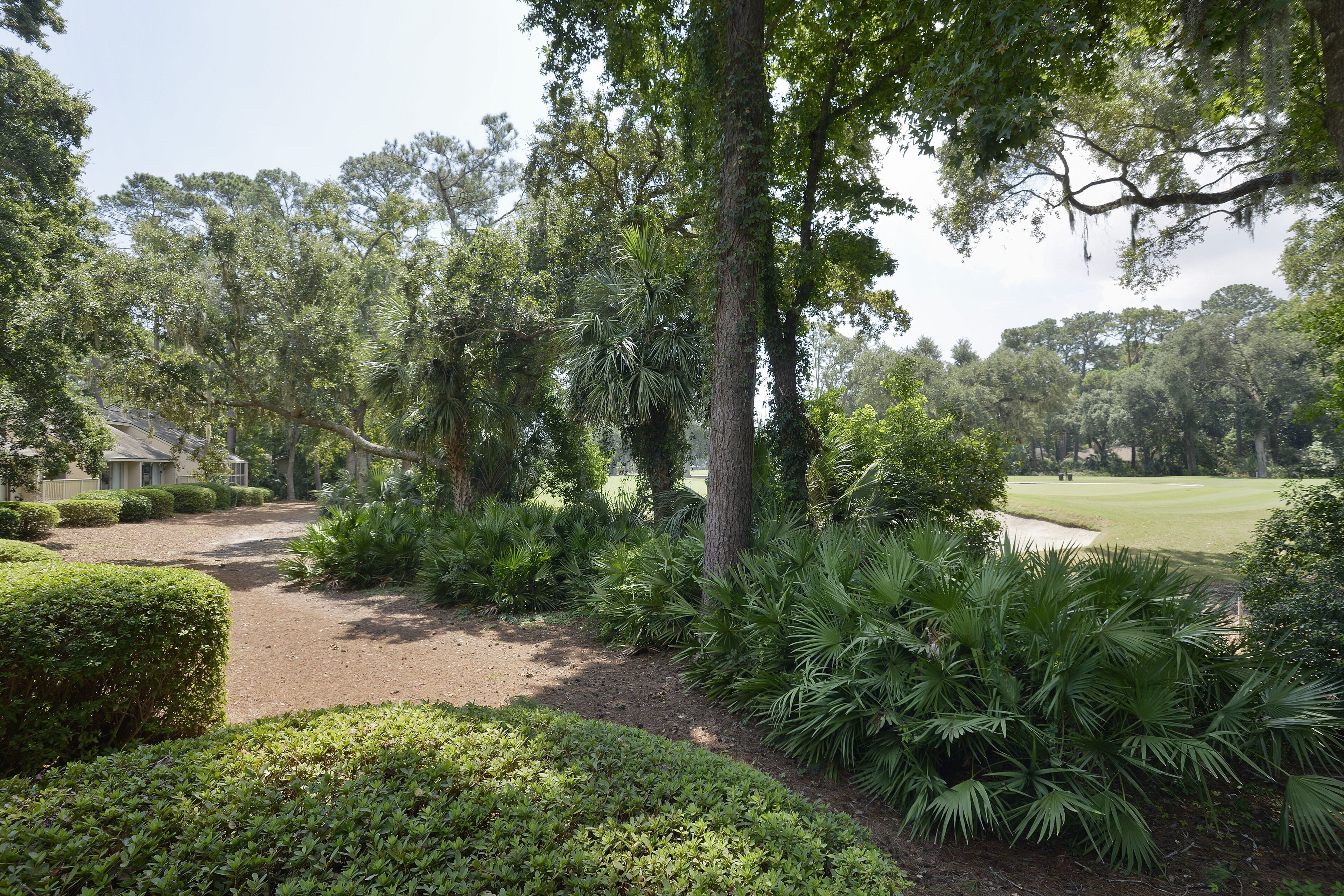 A well-maintained golf course with manicured hedges, diverse vegetation, and a clear path leading to the green.