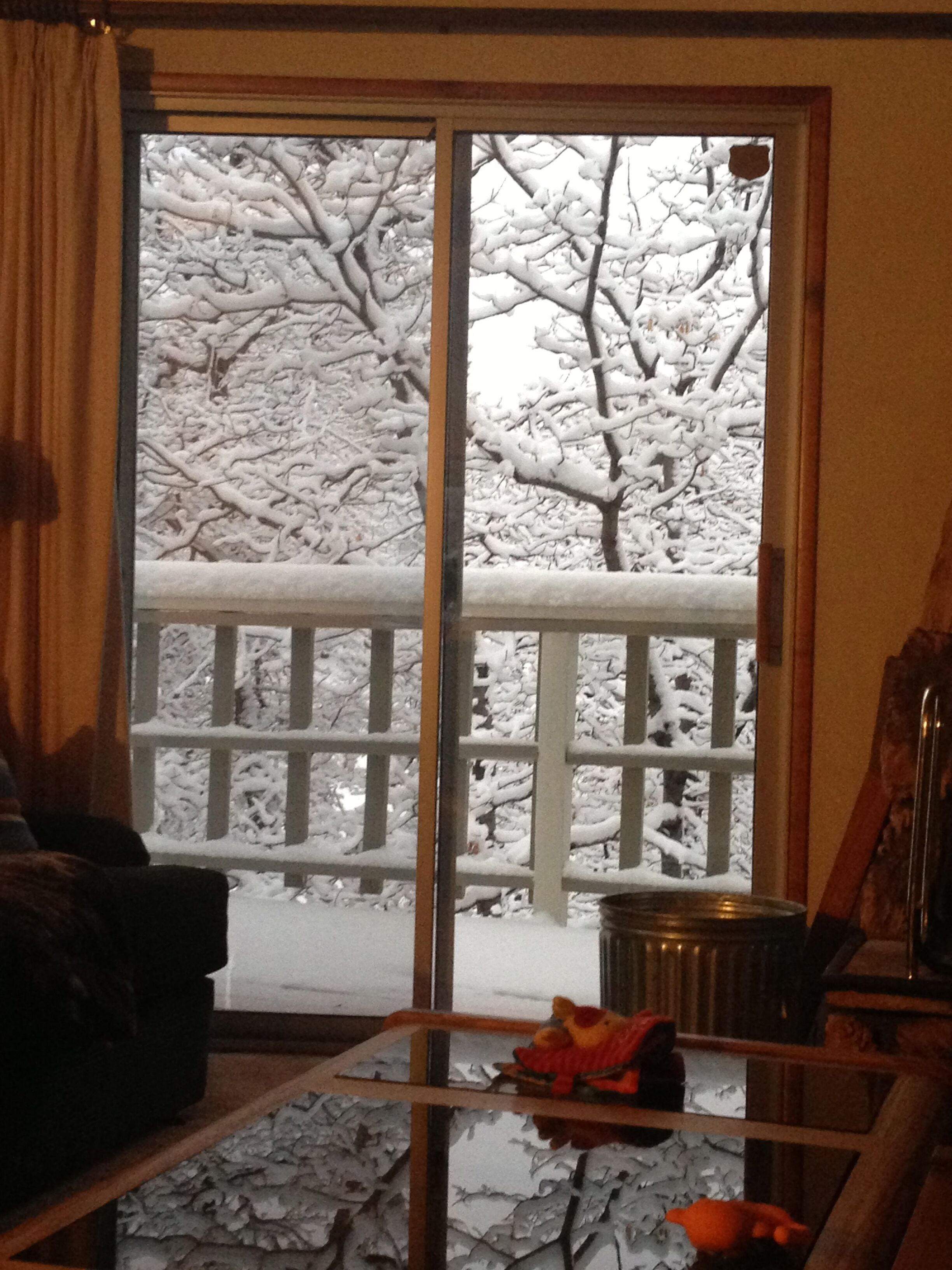 Moonridge, views, pets, baby proof, deck, pool table, off street parking